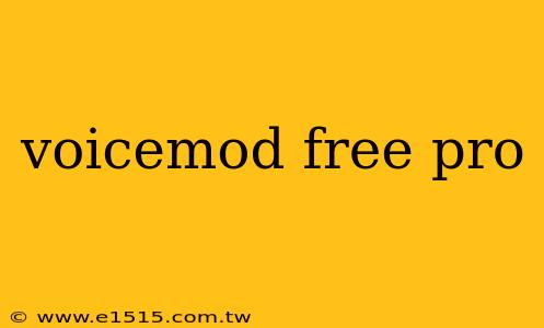 voicemod free pro