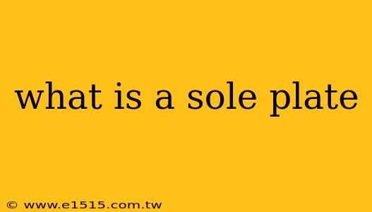 what is a sole plate