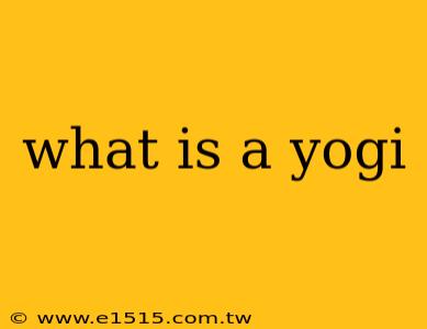 what is a yogi