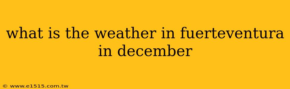 what is the weather in fuerteventura in december