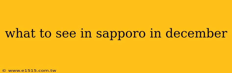 what to see in sapporo in december