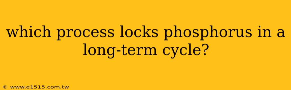 which process locks phosphorus in a long-term cycle?