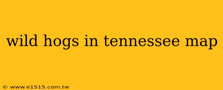 wild hogs in tennessee map