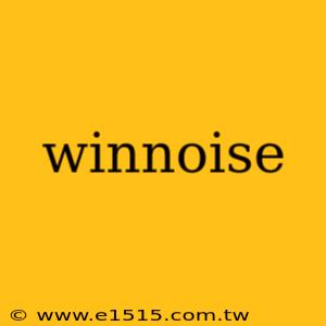 winnoise